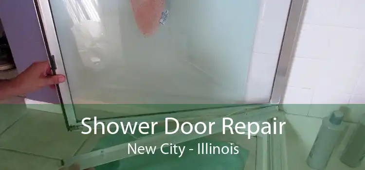 Shower Door Repair New City - Illinois