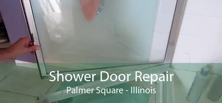 Shower Door Repair Palmer Square - Illinois