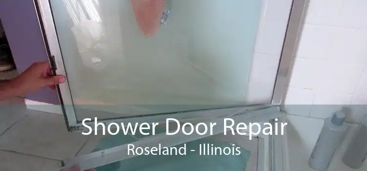 Shower Door Repair Roseland - Illinois