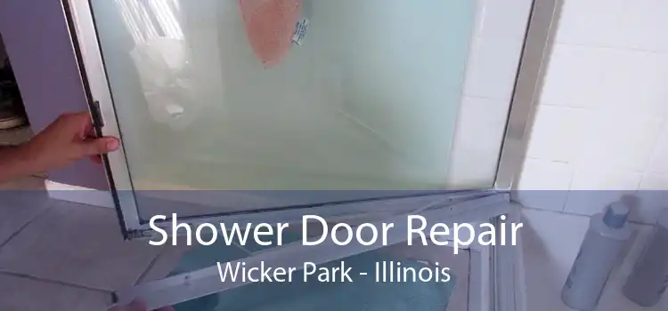 Shower Door Repair Wicker Park - Illinois