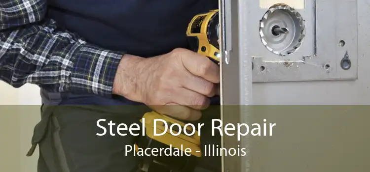 Steel Door Repair Placerdale - Illinois