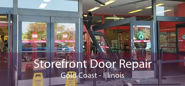 Storefront Door Repair Gold Coast - Illinois