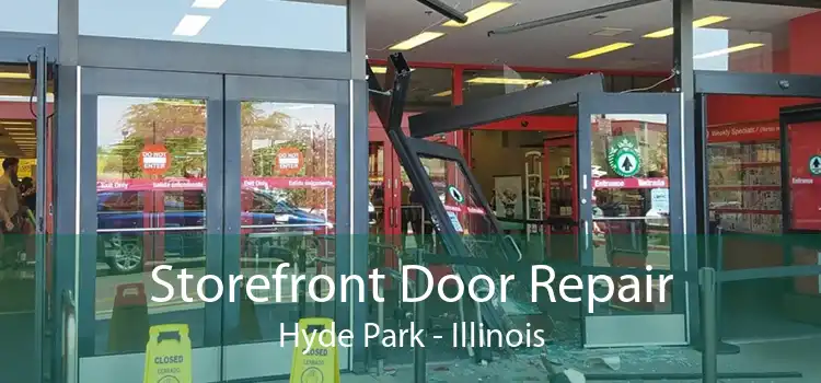 Storefront Door Repair Hyde Park - Illinois