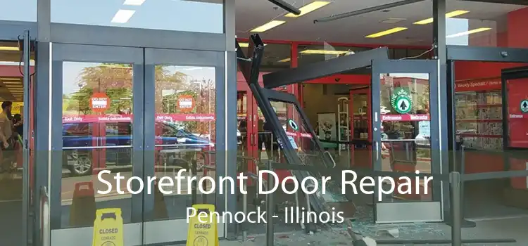 Storefront Door Repair Pennock - Illinois