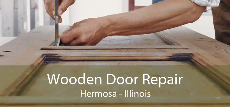 Wooden Door Repair Hermosa - Illinois