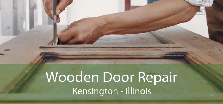 Wooden Door Repair Kensington - Illinois