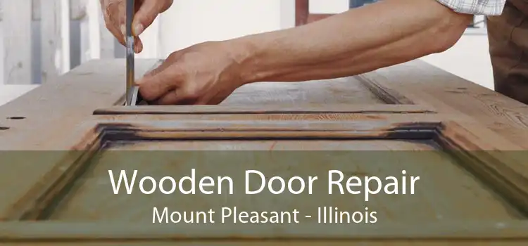 Wooden Door Repair Mount Pleasant - Illinois